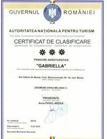 Pensiunea Gabriella - Image 2