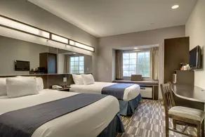 Microtel Inn & Suites by Wyndham Tuscaloosa Near University - Image 3