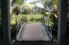 Riverine Resort - Image 5