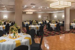 Four Points by Sheraton Kalamazoo - Image 5