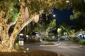Large 150sqm Deluxe Suite with Pond View, close to Noosa & Eumundi - Image 3