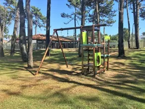 Pinhal D'aberta - Image 3