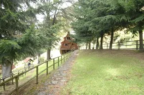 CabaÑas Lago Elizalde - Image 2