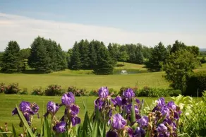 Highview Bed And Breakfast - Image 5