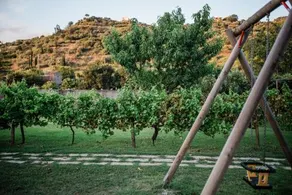 Agriturismo Valle Degli Agrumi - Image 3