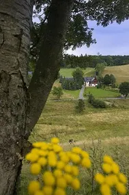 Ferienwohnungen Altenberg ERZ 060 - Image 3