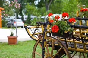 Balaton Eldorado Camping - Image 4
