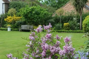Ditton Lodge - Image 2