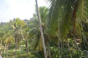 Kaveri Tourist Home - Image 2
