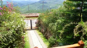 ‘T En Zal - Image 5