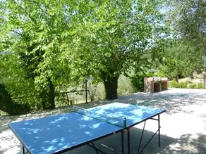 Canaiolo - Image 5