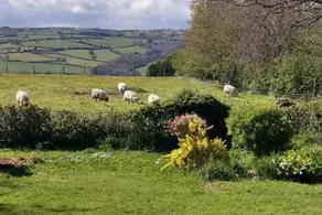 Spacious Self Catering Accommodation Near Hayonwye - Image 5
