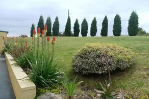 Eden Park Views - Image 2