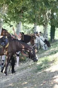 Centre Equestre  & Chambres d'Hôtes du Passe-Temps - Image 3