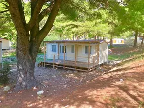 Kamp Dole - Navores - Image 2