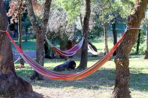Casa Vacanze La Sainella - Image 5