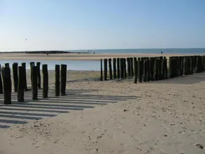 De Kersentuin - Image 3