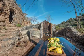 Tropical Oasis in Santa Ursula - Image 2
