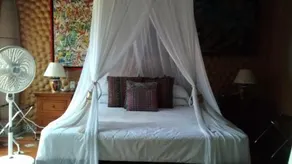 Casa Corazon de Lolita - Image 3