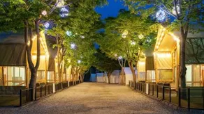 Gapyeong High Mong Glamping & Camping - Image 1