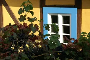 Hotel Romantisches Hexenhaus - Image 4