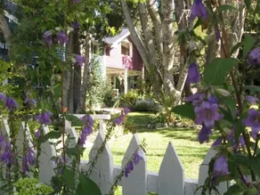 Dodo House Bed & Breakfast - Image 3