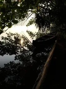 Big Banana Island Retreat - Image 4