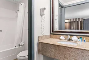 Rodeway Inn & Suites, Saginaw - Image 5