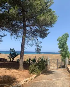 Riserva Monte Cofano - Image 3