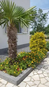 Apartment Chiara - Image 4