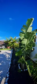 Luxury Marina - Image 4