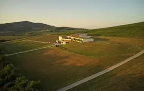 Henye Vendeghaz - Image 4
