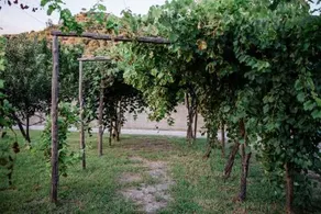 Agriturismo Valle Degli Agrumi - Image 4