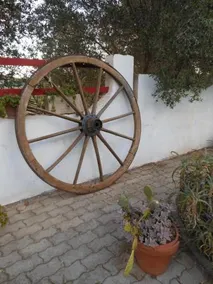 Il Giardino Di Alba - Image 2