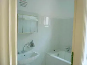 Blue Star - Image 5
