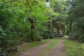 Bungalowpark Vogelenzang - Image 3