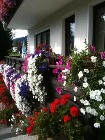 Bergschlossl - Image 5