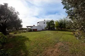 Villa Alma - Image 2