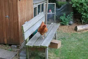 Gultentorp Bed and Breakfast - Image 2