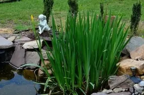 Pine Gables Of Aberdeen Bed & Breakfast - Image 4