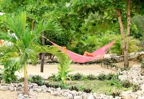 Akumal Jungle Lodge - Image 4