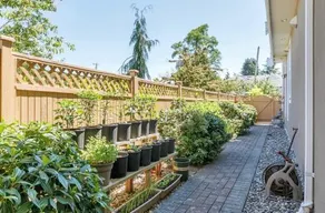 Richmond Maple Home - Image 5
