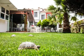 Destina Hotel Bozcaada - Image 4