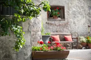 Landhotel Die Forelle - Image 3