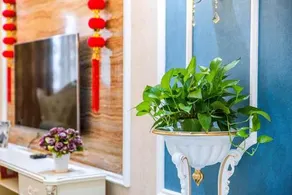 Henan Luoyang Yalong Bay Water Land Locals Apartment 00132750 - Image 3