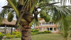 The Beach house - Image 2