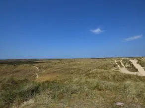 Top - Image 2