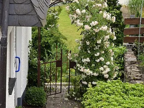 Attractive holiday home in the Sauerland region - wood stove and a terrace - Image 2