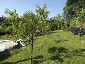 Chez Gerard - Image 5