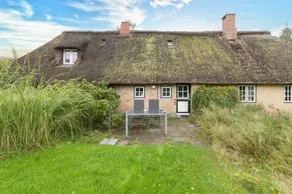 Reetdachhaus Zur Sandkuhle - Image 4